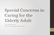 Special Concerns in Caring for the Elderly Adult Pain Management Violence and Elder Mistreatment 1.