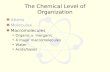 The Chemical Level of Organization Atoms Molecules Macromolecules Organic v. inorganic 4 major macromolecules Water Acids/bases.
