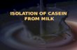 ISOLATION OF CASEIN FROM MILK. simple protein hydrolyze to yield only amino acids e.g.: albumins, globulins. conjugated protein is a protein that functions.
