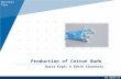 Www.company.com Production of Cotton Buds Business Plan Haris Kvgic & Edvin Sinanovic.