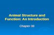 Animal Structure and Function: An Introduction Chapter 38.