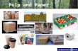 Pulp and Paper. Pulp and Paper Industry Presentation Team Gold Standard Presenters: Vernon Scott: –Introduction –Industry Analysis –Demand Factors Tim.