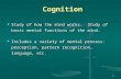 1 Cognition Study of how the mind works. Study of basic mental functions of the mind. Study of how the mind works. Study of basic mental functions of the.