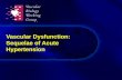 Vascular Dysfunction: Sequelae of Acute Hypertension.