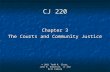 CJ 220 Chapter 3 The Courts and Community Justice © 2011 Todd R. Clear, John R. Hamilton, Jr and Eric Cadora.