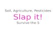 Soil, Agriculture, Pesticides Slap it! Survive the 5.
