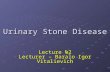Urinary Stone Disease Lecture №2 Lecturer – Baralo Igor Vitalievich.