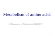 1 Metabolism of amino acids  Department of Biochemistry (J.D.) 2013.