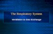 The Respiratory System Ventilation to Gas Exchange.