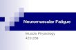 Neuromuscular Fatigue Muscle Physiology 420:289. Agenda Introduction Central fatigue Peripheral fatigue Biochemistry of fatigue Recovery.