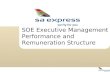 SOE Executive Management Performance and Remuneration Structure.