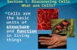 Section 1: Discovering Cells What are Cells? Cells are the basic units of structure and function in living things.