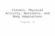 Fitness: Physical Activity, Nutrients, and Body Adaptations Chapter 14.