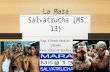 La Mara Salvatrucha (MS 13) Hugo Alfredo Barajas 11393409 Chicano/a Latino/a Studies 151.