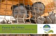 Peace for Cities: When the Whole City Works for Everyone Presenter: H. Spees, hspees@leadershipfoundations.org, @leadershipfoundations.org.