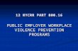 12 NYCRR PART 800.16 PUBLIC EMPLOYER WORKPLACE VIOLENCE PREVENTION PROGRAMS.