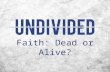 Faith: Dead or Alive?. Q: Can faith alone (without works) save? A: No! Faith alone cannot save! Sola Fide! Faith: Dead or Alive?