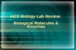 AICE Biology Lab Review: Biological Molecules & Enzymes.
