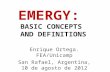 EMERGY: BASIC CONCEPTS AND DEFINITIONS Enrique Ortega. FEA/Unicamp San Rafael, Argentina, 10 de agosto de 2012.