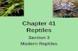 Chapter 41 Reptiles Section 3 Modern Reptiles. Characteristics Amniotic egg, internal fertilization of eggs, dry scaly skin, respiration through lungs,