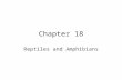 Chapter 18 Reptiles and Amphibians. Cold-blooded Animals Reptiles are considered cold-blooded animals. Their body temperature fluctuates with the temperature.