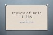 Review of Unit 1 SBA By Nyoka English. Problem Definition Identifies an organization and gives a brief description of the organization, zeroing in on.
