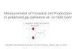 Measurement of Forward Jet Production in polarized pp collisions at √s=500 GeV L. Nogach, IHEP (Protvino) for A N DY The 20th International Symposium on.