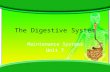 The Digestive System Maintenance Systems Unit 7. Standards and Objectives 05.01 Describe the basic functions of the digestive system: ingestion, digestion,