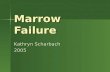 Marrow Failure Kathryn Scharbach 2005. Marrow failure syndromes & diseases Multilineage Failure Fanconi anemia Fanconi anemia dyskeratosis congenita dyskeratosis.