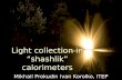 Light collection in “shashlik” calorimeters Mikhail Prokudin Ivan Korolko, ITEP.