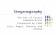 Steganography The Art of Covert Communication Presented by LADA Luiz, Angel, Dimitar and Andrew