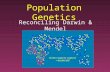 Population Genetics Reconciling Darwin & Mendel. Darwin Darwin’s main idea (evolution), was accepted But not the mechanism (natural selection) –Scientists.