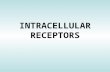 INTRACELLULAR RECEPTORS. The intracellular (nuclear) receptor superfamily Steroid hormones, thyroid hormones, retinoids and vitamin D.