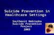 Suicide Prevention in Healthcare Settings Southeast Nebraska Suicide Prevention Project 2003.
