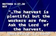 MATTHEW 9:37-38 NIV “…The harvest is plentiful but the workers are few. Ask the Lord of the harvest, therefore to send out workers into his harvest field.”