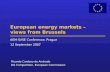 European energy markets – views from Brussels Ricardo Cardoso de Andrade DG Competition, European Commission AEM-SVSE Conference, Prague 12 September 2007.