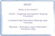 RASP What is the RASP? RASP = Regional Atmospheric Soaring Prediction Localized High Resolution Blipmap style forecasts Blipmap = Boundary Layer Information.