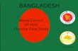 BANGLADESH Alexis Carrion AP HUG Country Case Study Government Seal National Emblem.