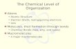 The Chemical Level of Organization Atoms Atomic Structure Electron Shells, losing/gaining electrons Ions Molecules, their formation through bonds Chemical.