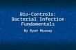 Bio-Controls: Bacterial Infection Fundamentals By Ryan Murray.