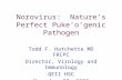 Norovirus: Nature’s Perfect Puke’o’genic Pathogen Todd F. Hatchette MD FRCPC Director, Virology and Immunology QEII HSC November 27, 2008.