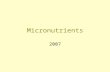 Micronutrients 2007. Micronutrient Status Important throughout the reproductive years: –Periconceptual period –Pregnancy –Lactation –Inter-pregnancy interval.
