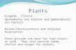 Plants Kingdom: Plantae Sporophytes are diploid and gametophytes are haploid. Review Photosynthesis and Cellular Respiration Plant provide the base for.