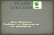 Algae, Bryopytes, Pteridophytes, Gymnosperms and Angiosperms.