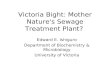 Victoria Bight: Mother Nature's Sewage Treatment Plant? Edward E. Ishiguro Department of Biochemistry & Microbiology University of Victoria.