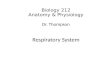 Biology 212 Anatomy & Physiology Dr. Thompson Respiratory System.