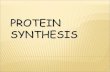 PROTEIN SYNTHESIS 1. DNA AND GENE S DNA  DNA contains genes, sequences of nucleotide bases  These Genes code for polypeptides (proteins)  Proteins.