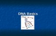 DNA Basics. The Structure of DNA A VERY long polymer of repeating units called nucleotides A VERY long polymer of repeating units called nucleotides Double-stranded.
