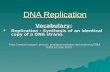 DNA Replication Vocabulary:  Replication - Synthesis of an identical copy of a DNA strand. 20L.