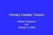 Primary Cardiac Tumors Andrew Ferguson UIC January 3, 2008.
